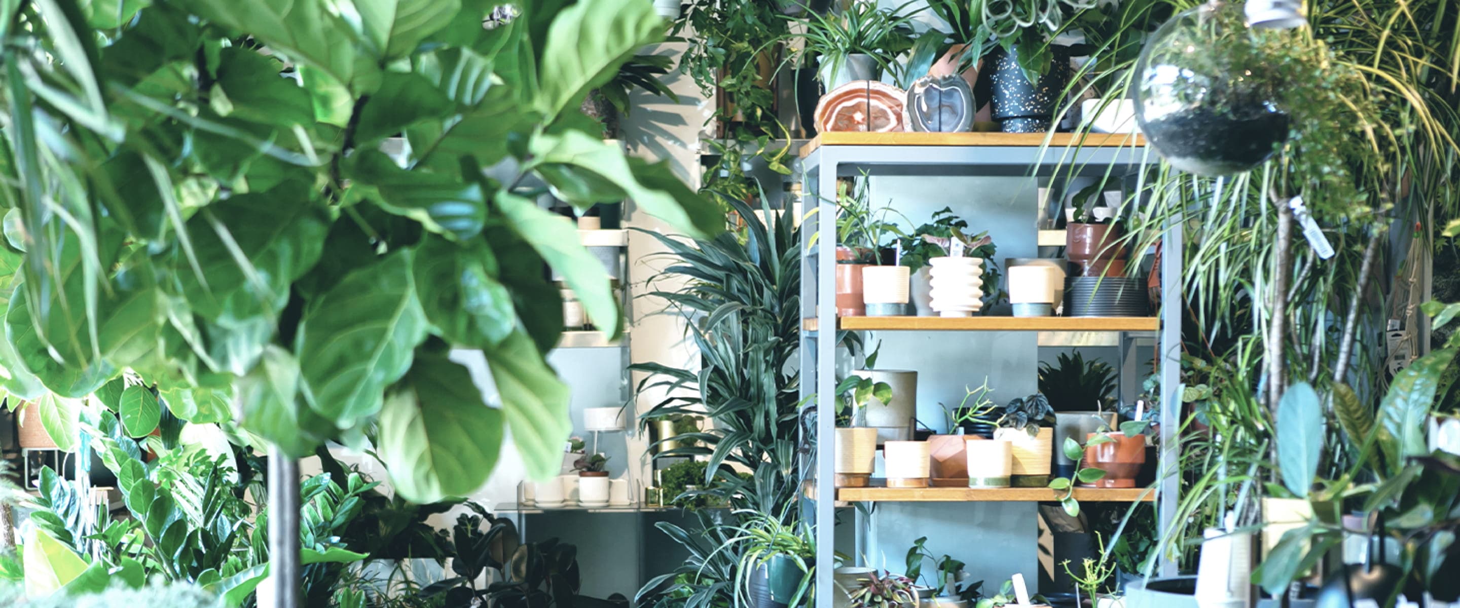 Brand concept background